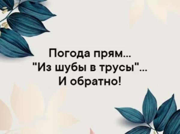 Из шубы в трусы и обратно