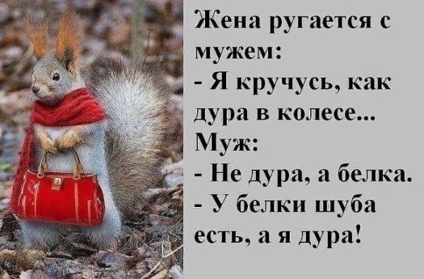 Афоризмы про шубу