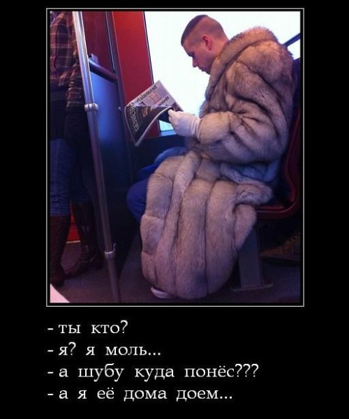 Норковая шуба прикол