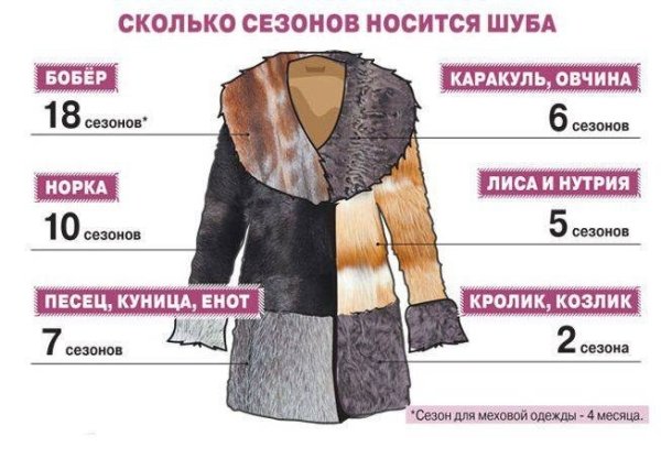 Износостойкость норки шуба