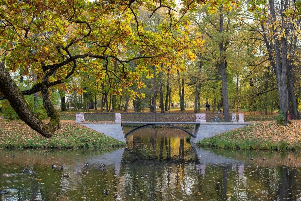 Царское село осенью Александровский парк