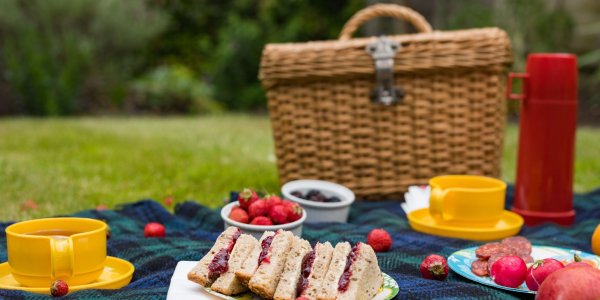 Веселый пикник на природе