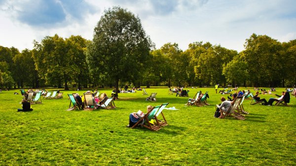 Пикник в Лондоне гайд парк