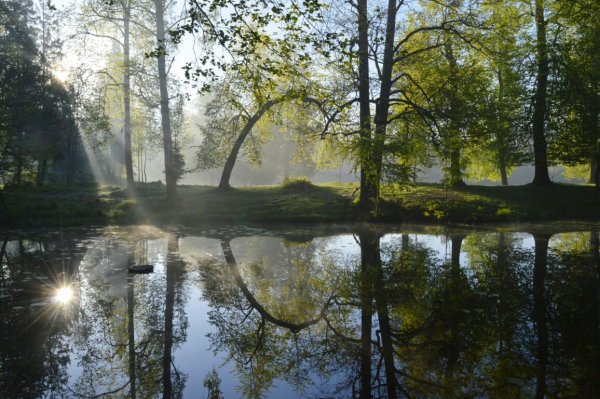 Шуваловский парк озера