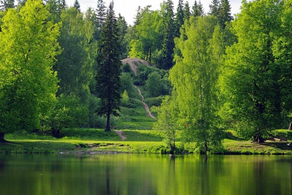 Шуваловский парк Санкт-Петербург Парнас