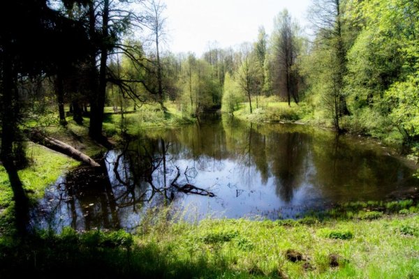 Наполеоновские пруды Шуваловский парк