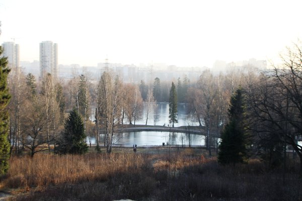 Круглый пруд Шуваловский парк