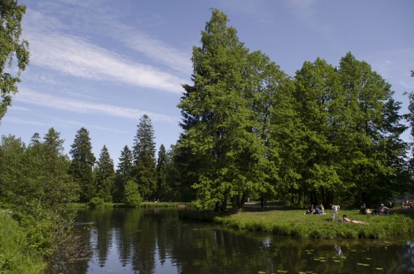 Шуваловский парк озера