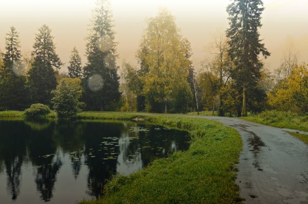 Шуваловский парк мостик