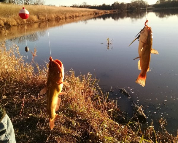 Красивые пейзажи на рыбалке