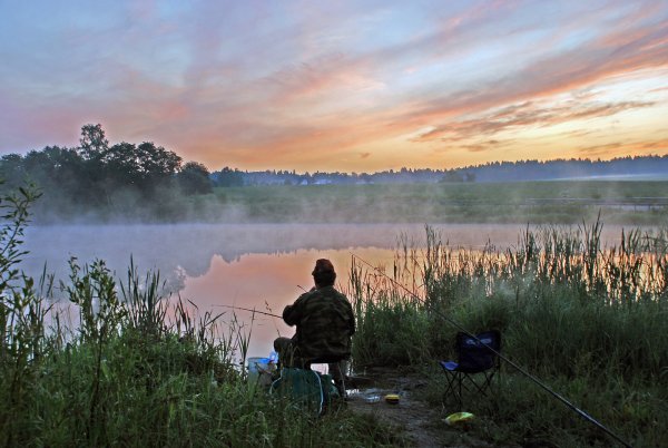 Утренняя рыбалка