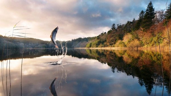 Красивые пейзажи на рыбалке