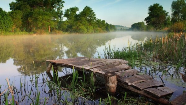 Утро на реке
