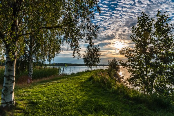 Природа Подмосковья