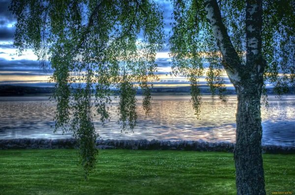 Над тихой рекою в березовой роще