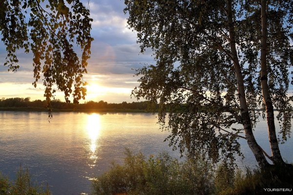 Волга река Березка