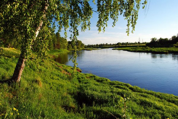 Река береза Смоленская область