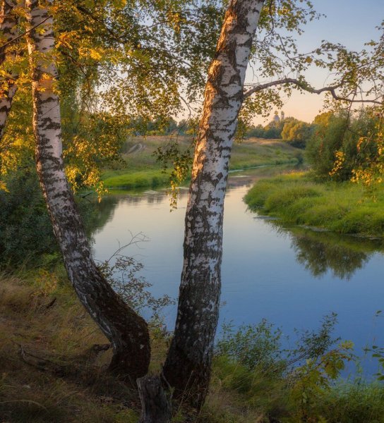 Природа деревня речка Березки