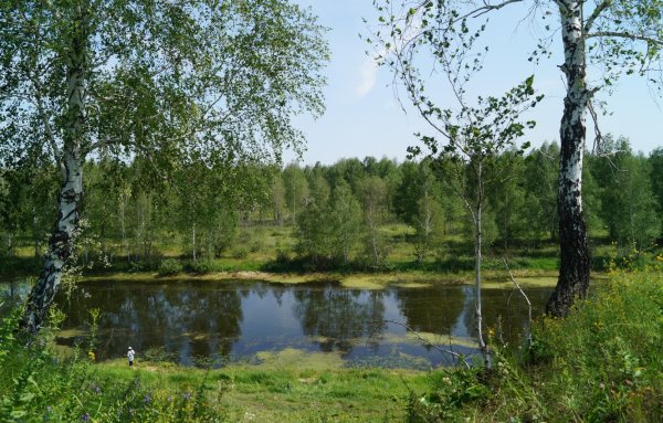 Река Березка Ивановская область