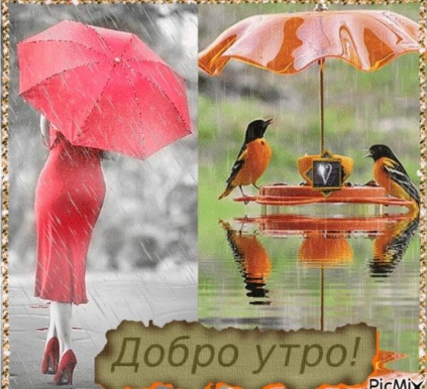 Открытки с добрым дождливым утром