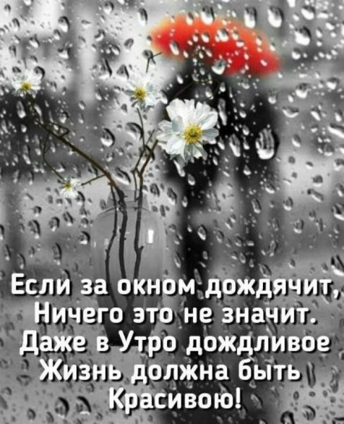 С добрым држдливфм цтпом