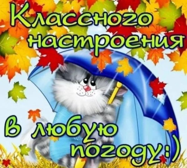 Хорошего настроения в любую погоду