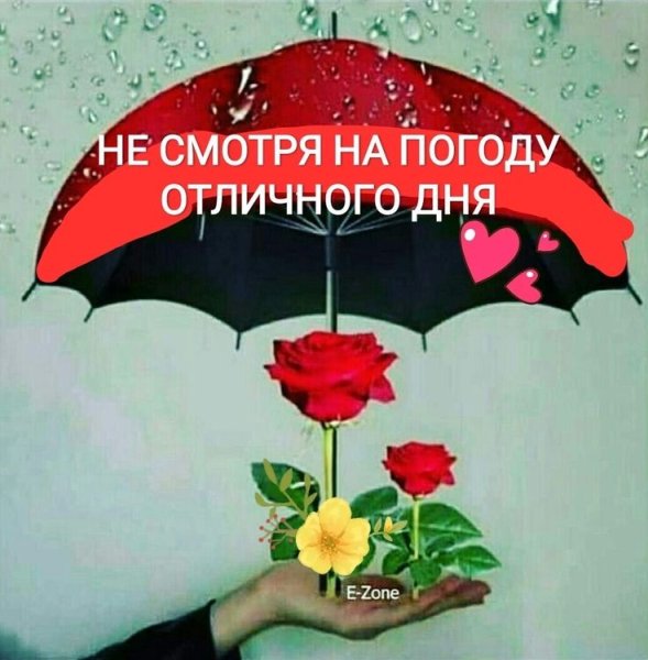 Доброе утро с зонтиком