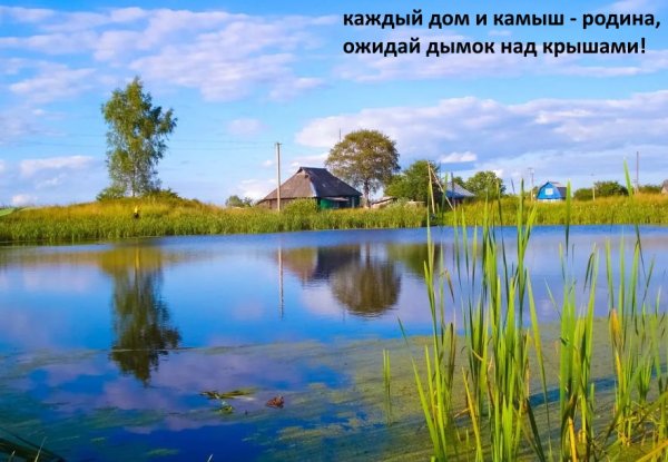 Озеро чистое Некрасовский район