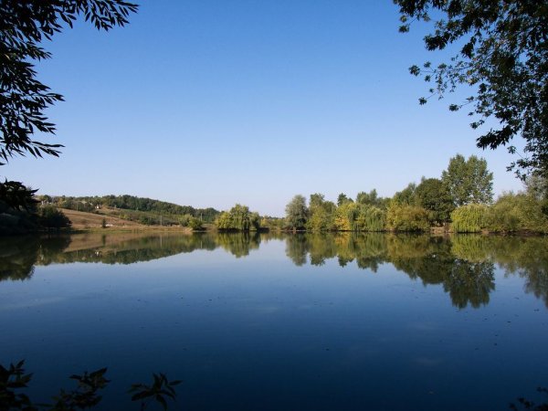 Пруд деревня Ломь