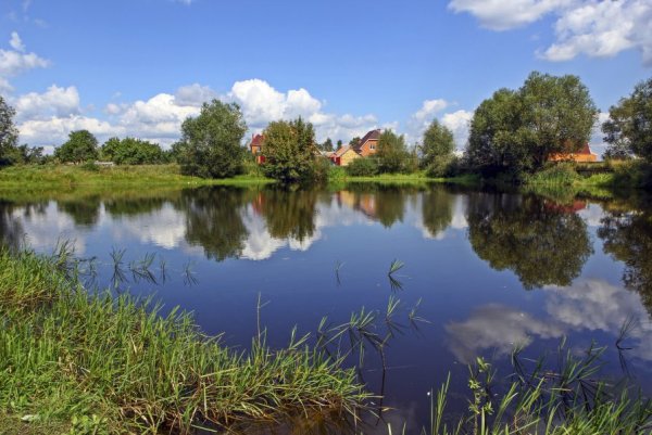 Сельский пруд деревня Торбеево