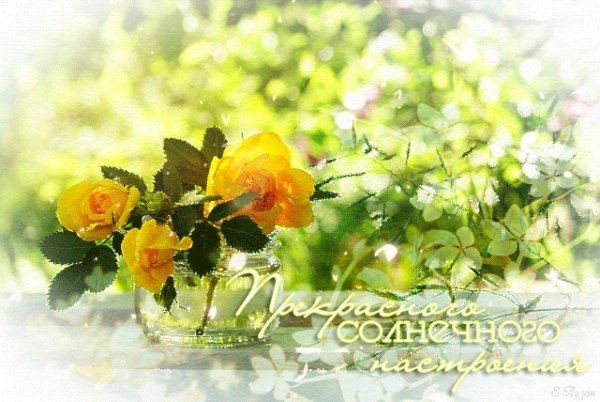 Прекрасного солнечного настроения