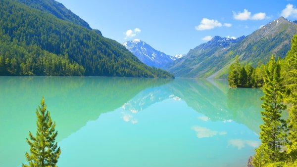 Кучерлинские озёра, Алтай