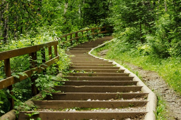 Лестница в Серпухове в лесу парк