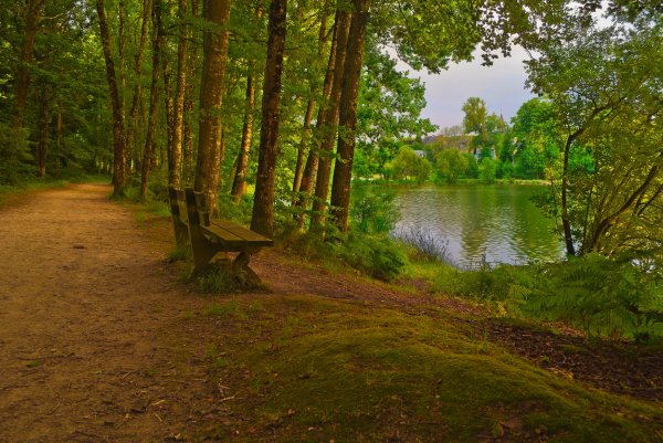 Лесная тропинка к озеру