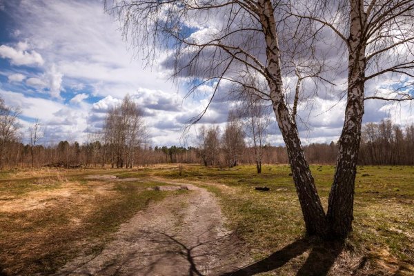 Апрель природа