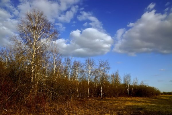 Ранняя Весна небо