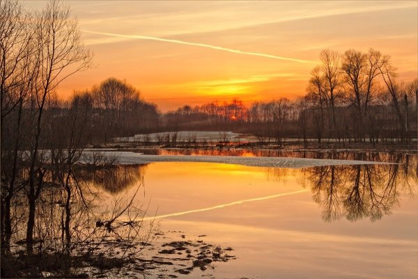 Терентий Маревный