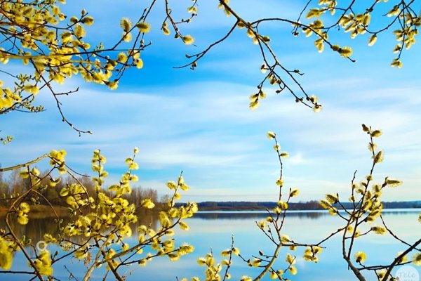 Солнечный весенний день