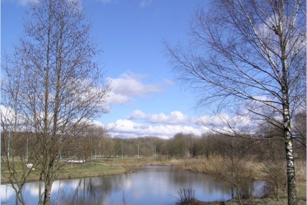 Конец апреля природа