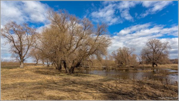 Природа Весна сухая