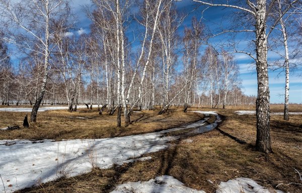 Ранняя Весна в Сибири