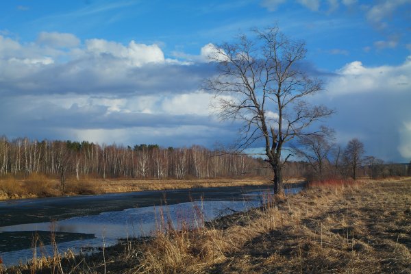 Апрельский пейзаж