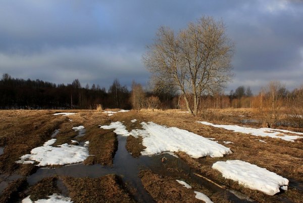 Хмурый весенний день