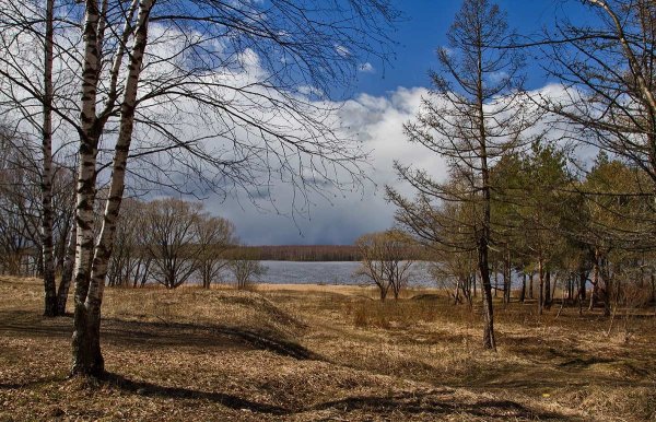 Апрель пейзаж