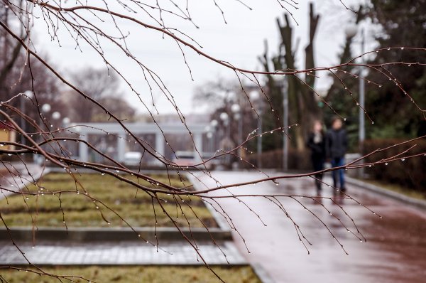 Дождь ранней весной