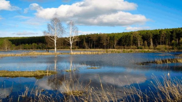 Апрельское озеро