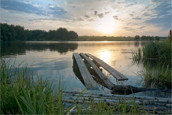 Воейково озеро мостки