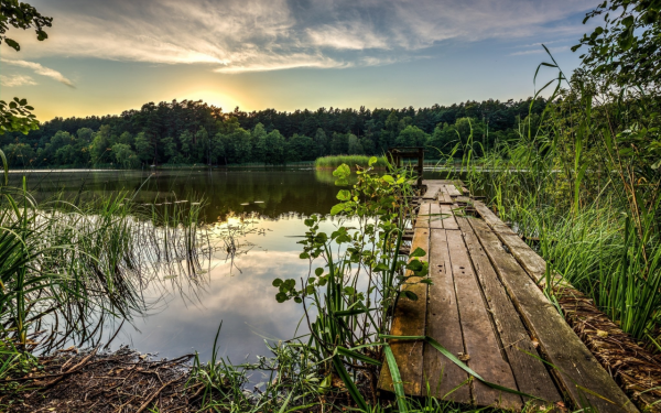 Васкелово озеро мостки