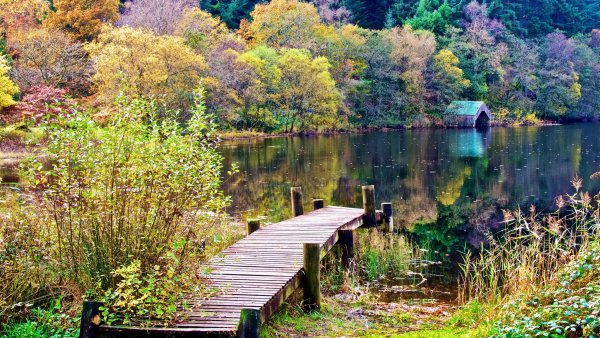 Лесное озеро мостки