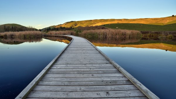 Мостик у реки